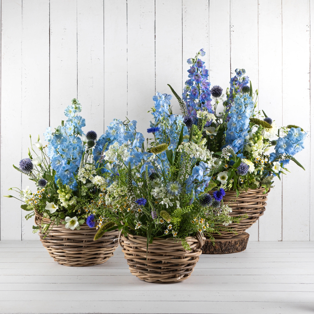 Meadow Basket