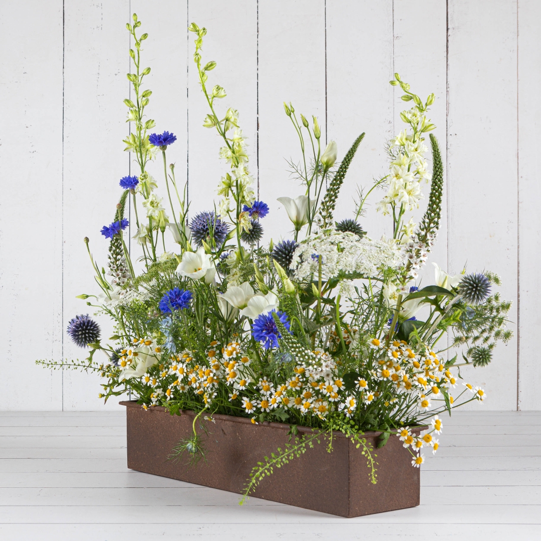 Summer Meadow Trough