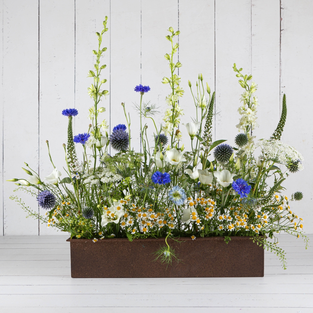 Summer Meadow Trough