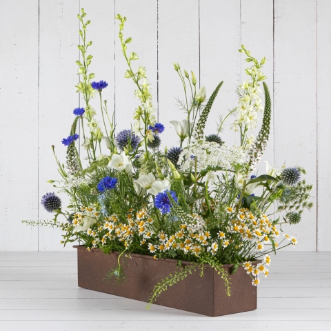 Summer Meadow Trough